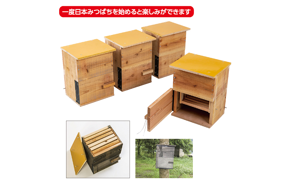 日本蜜蜂用の巣箱4段セット （日本みつばち販売）